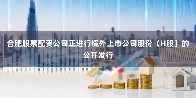 合肥股票配资公司正进行境外上市公司股份（H股）的公开发行