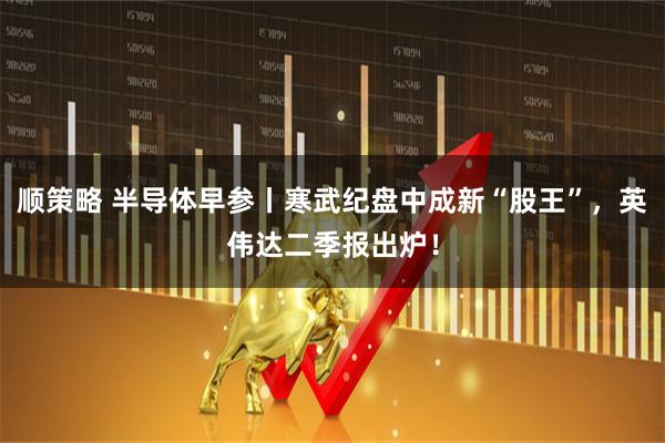 顺策略 半导体早参丨寒武纪盘中成新“股王”，英伟达二季报出炉！