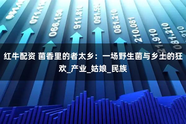 红牛配资 菌香里的者太乡：一场野生菌与乡土的狂欢_产业_姑娘_民族