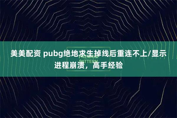 美美配资 pubg绝地求生掉线后重连不上/显示进程崩溃，高手经验