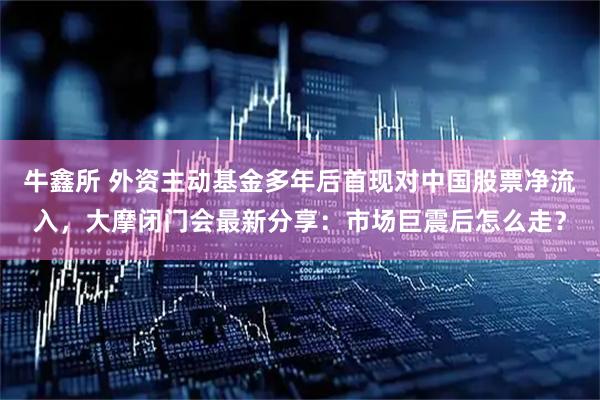 牛鑫所 外资主动基金多年后首现对中国股票净流入，大摩闭门会最新分享：市场巨震后怎么走？