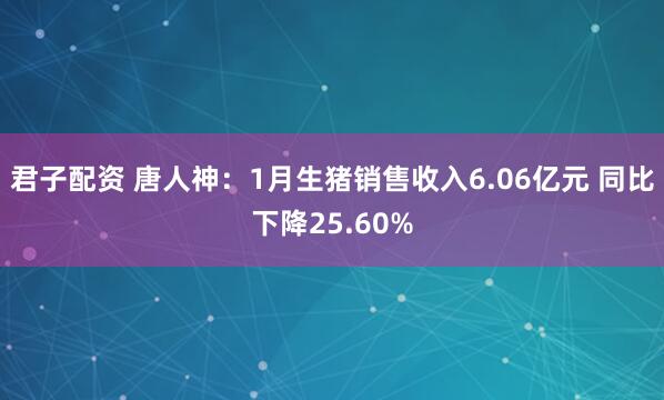 君子配资 唐人神：1月生猪销售收入6.06亿元 同比下降25.60%