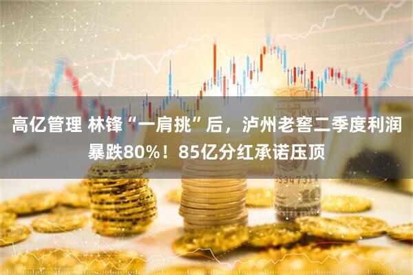 高亿管理 林锋“一肩挑”后，泸州老窖二季度利润暴跌80%！85亿分红承诺压顶